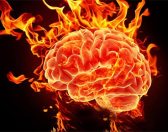 אש – רצון ויצירתיות