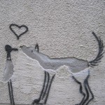 creativity shinuytodaati