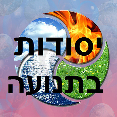 ארבעת היסודות בתנועה- דיאלוג  בין האש והאוויר למים והאדמה