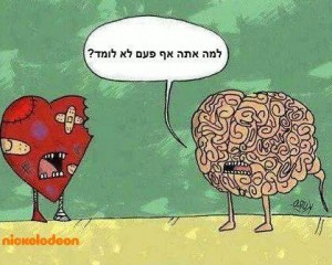 995023_565508540198268_1322008055_n