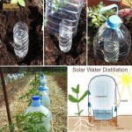 solar water distillation