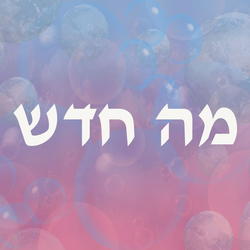 מה חדש 28- ניוזלטר נובמבר 2018