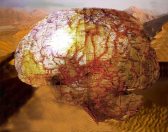 אדמה – חומר ומסגרותיו