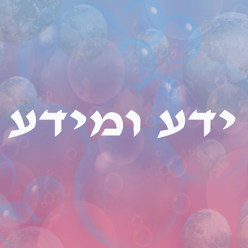 הבדל בין ידע ומידע